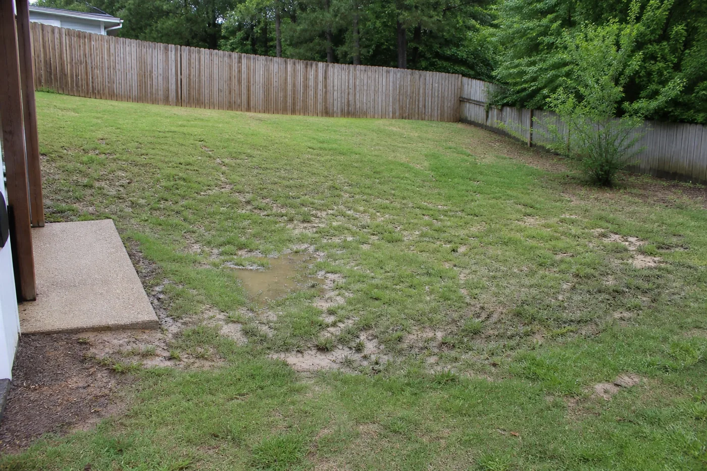 Before: patchy slope landscaping photography